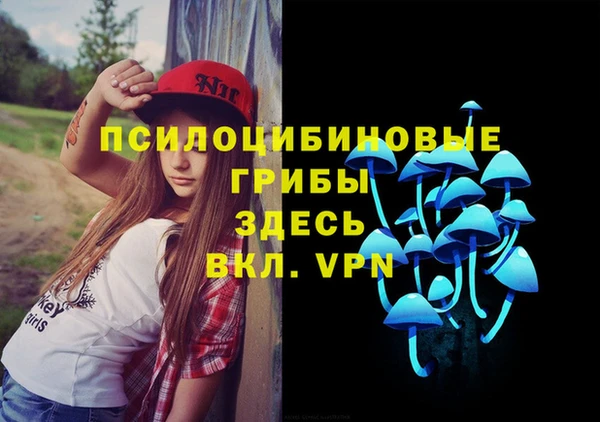 спайс Горно-Алтайск